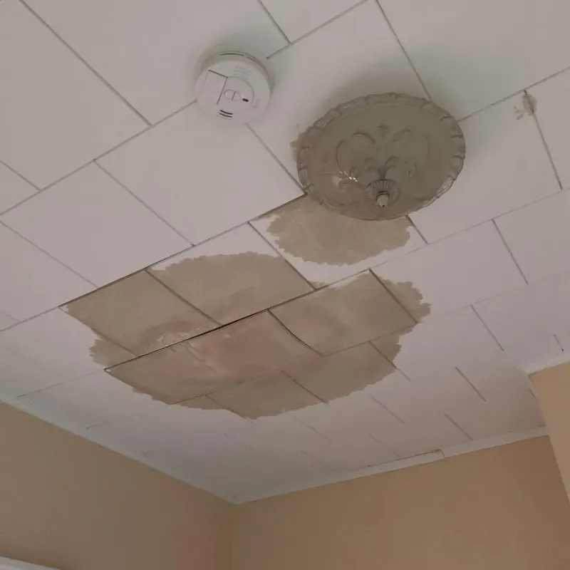 Ceiling Water Damage Repair in Wauseon, OH