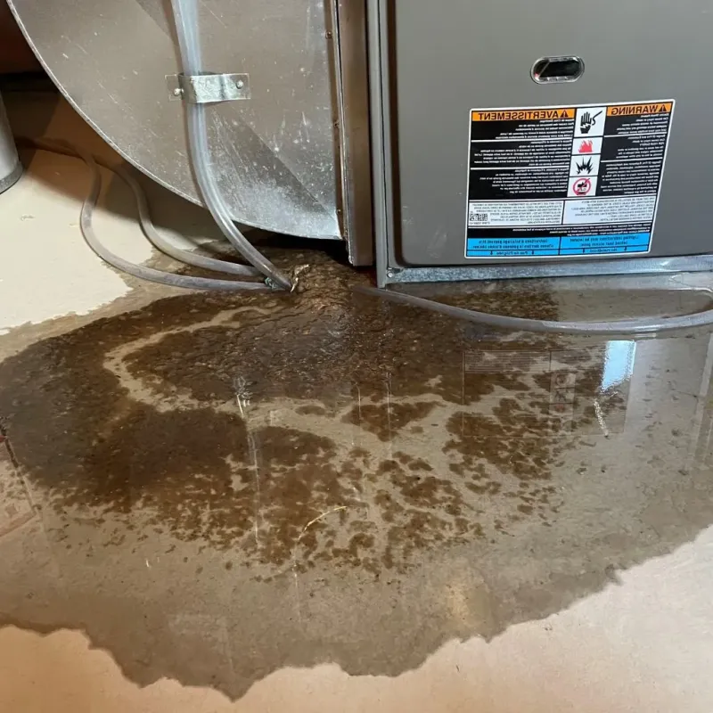 Pipe Burst and Leak Restoration in Wauseon, OH